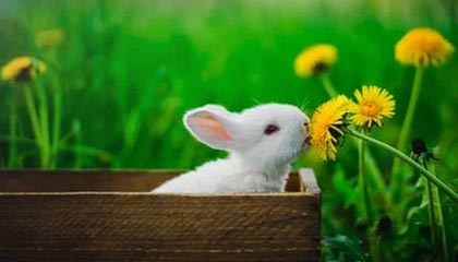 开云·体育官方网站入口-精彩足球赛事中球队实现逆转取胜，足球比赛逆转条件